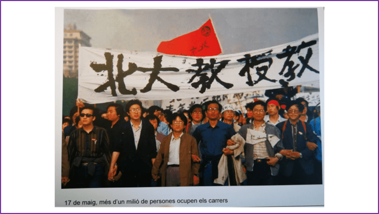 manifestacio Imagen1